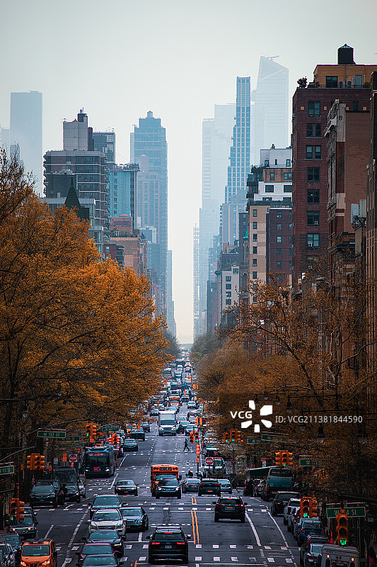 摩天大楼与车水马龙之间图片素材