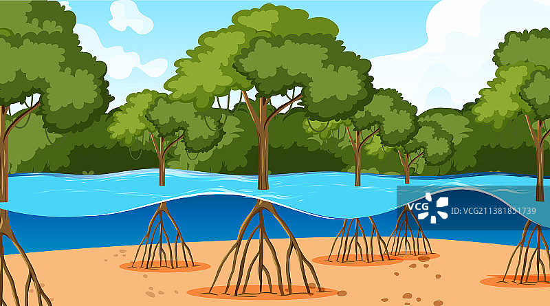 水中的红树林自然场景图片素材