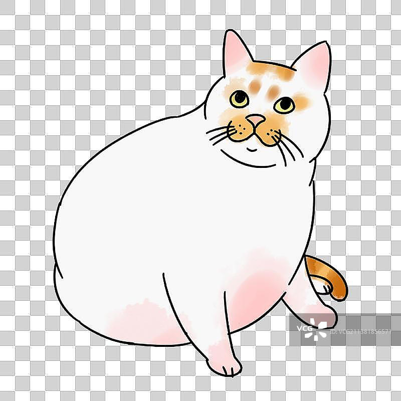 可爱猫咪系列二图片素材