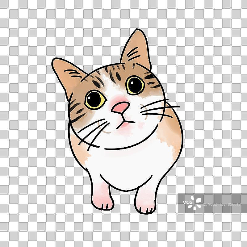 可爱猫咪系列二图片素材