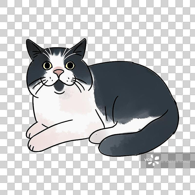 可爱猫咪系列二图片素材