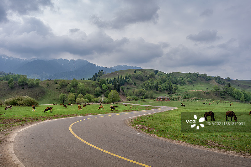 新疆伊犁那拉提河谷草原公路图片素材