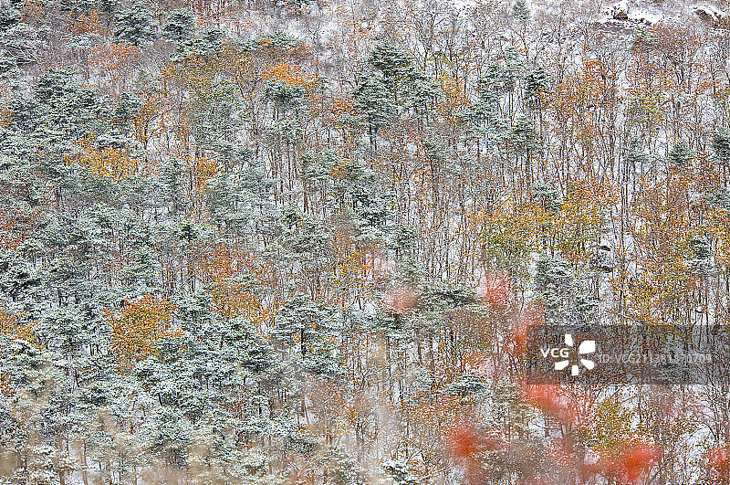 冰天雪地汽车广告背景图旅游代理商风景壁纸图片素材
