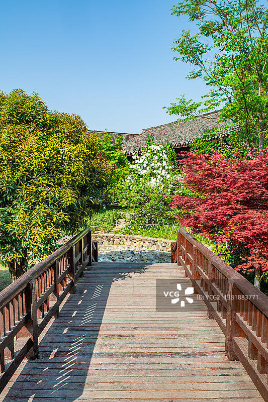 园林景观木桥 浙江杭州上城区丁兰  皋亭山 千桃园 公园园林建筑景观图片素材