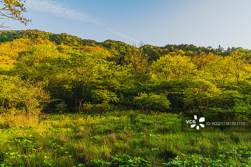 大围山系列之原生态船底窝景区图片素材