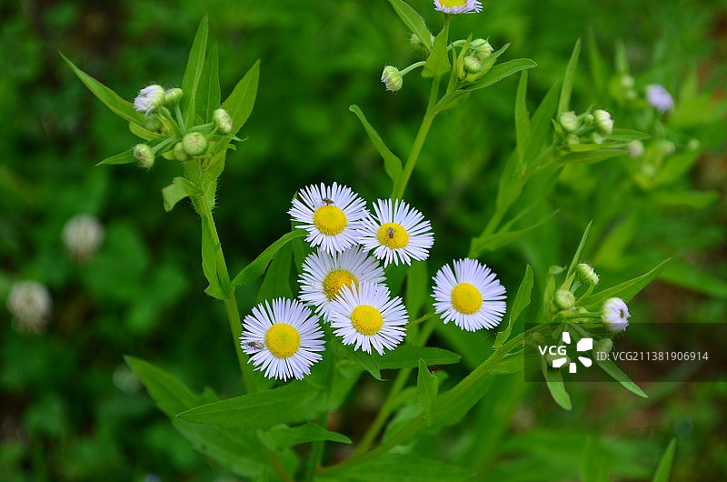 郊野公园风光图片素材