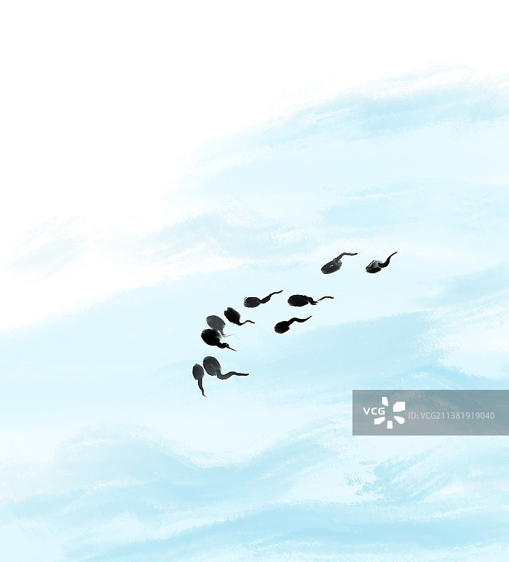 水波纹背景插画小蝌蚪游泳图片素材
