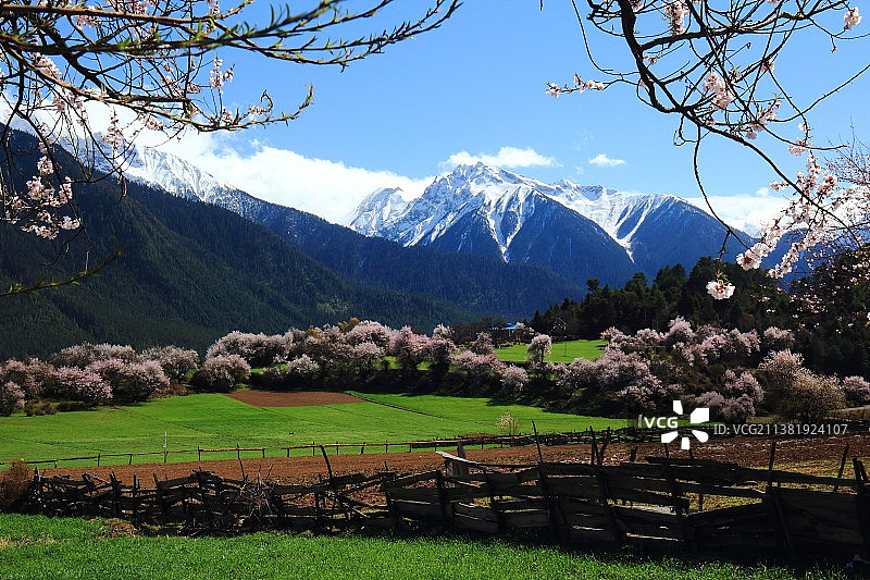 我的原创图片素材