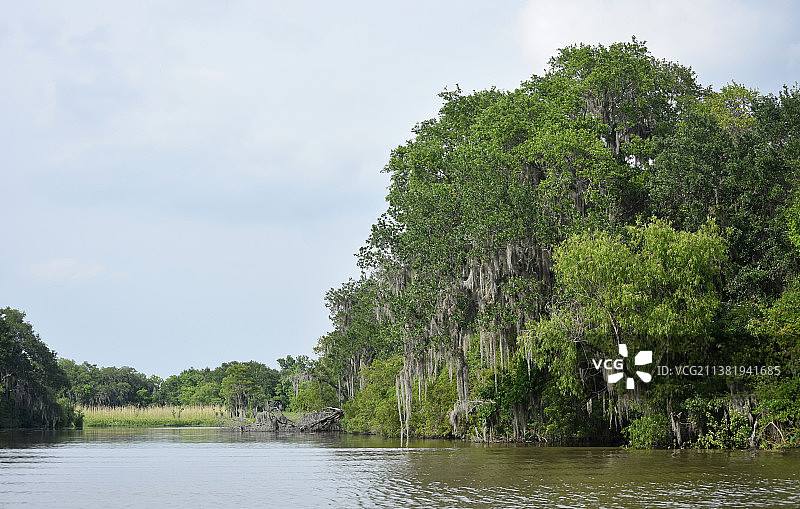 位于路易斯安那州南部的巴拉塔里亚保护区景观图片素材