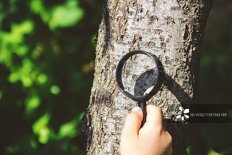 孩子用放大镜观察图片素材