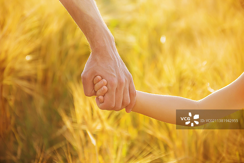 孩子和父亲在麦田里的手图片素材