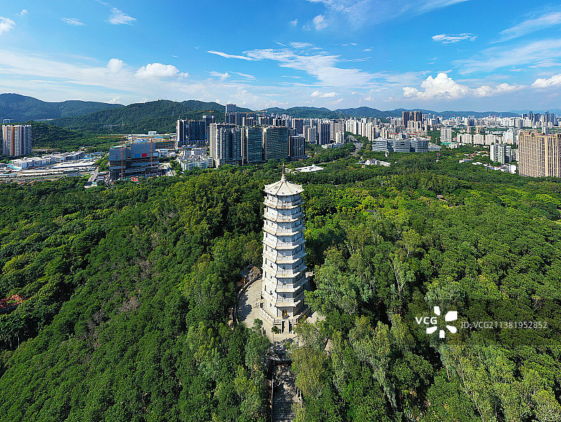 广东省深圳市福田区深圳国际园林花卉博览园航拍图片素材