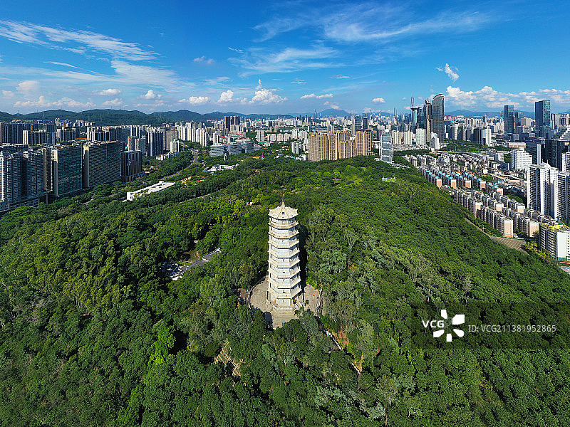 广东省深圳市福田区深圳国际园林花卉博览园航拍图片素材