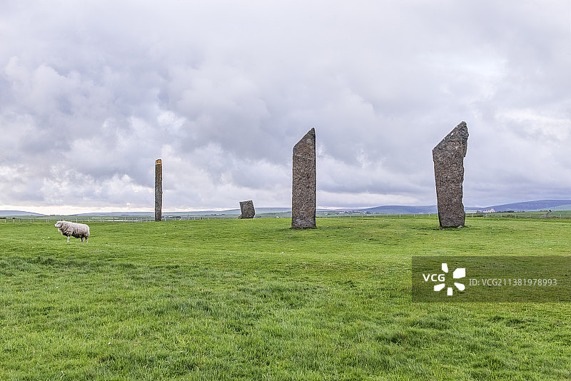 英国斯特罗姆内斯高地景观中的斯坦尼斯巨石阵，前景有一只绵羊图片素材