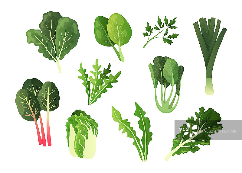 绿色蔬菜卡通食物叶图片素材