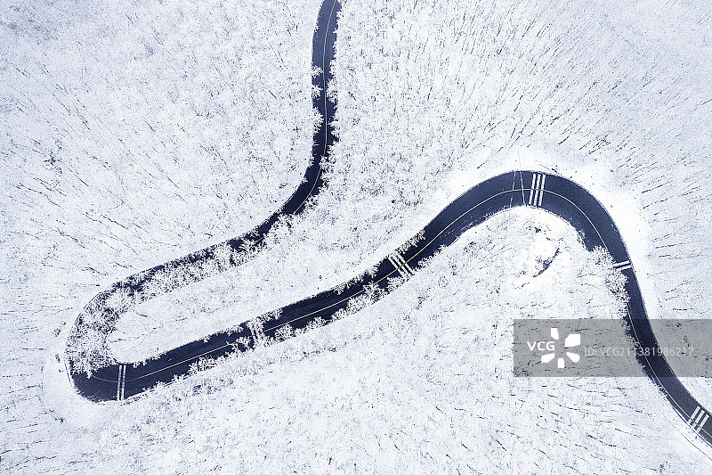 树林雪地蜿蜒山路图片素材