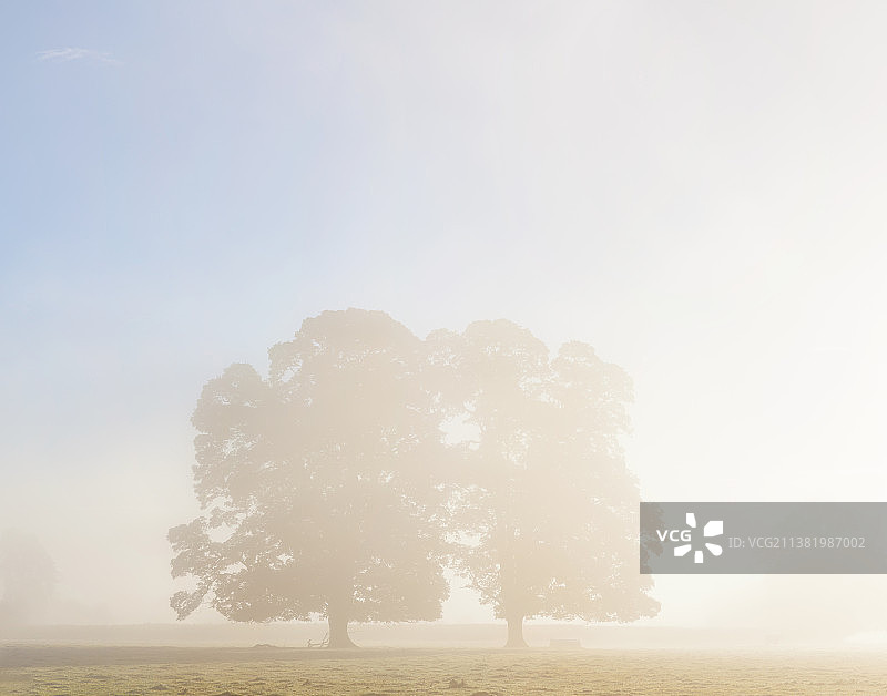 英国蒙茅斯郡厄斯克河谷日出时分的橡树轮廓图片素材