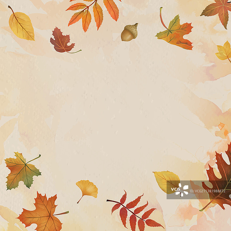 米色背景上的秋叶框架图片素材