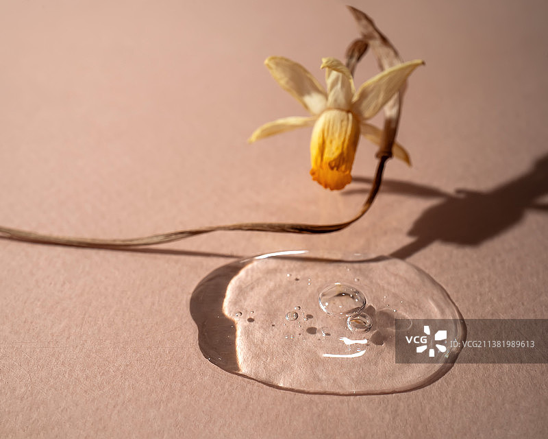 精华液上的干水仙花图片素材