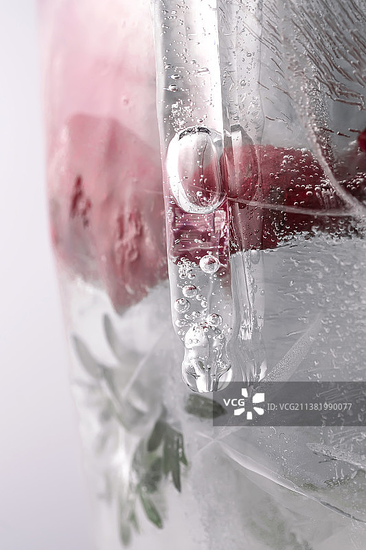 冰冻鲜花大冰块上的移液管图片素材