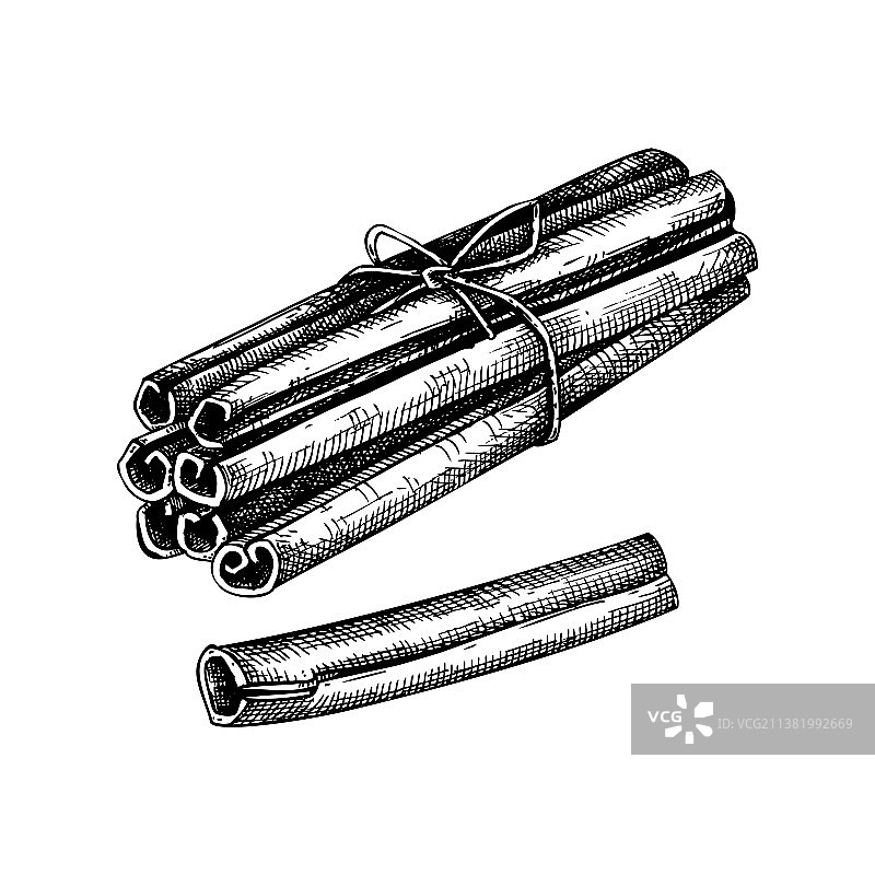 手绘肉桂棒香料图片素材