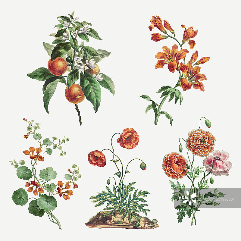 基本的rgb图片素材