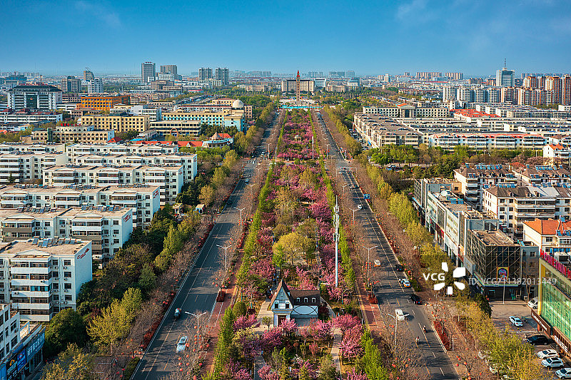 航拍鹤壁淇滨区樱花大道图片素材