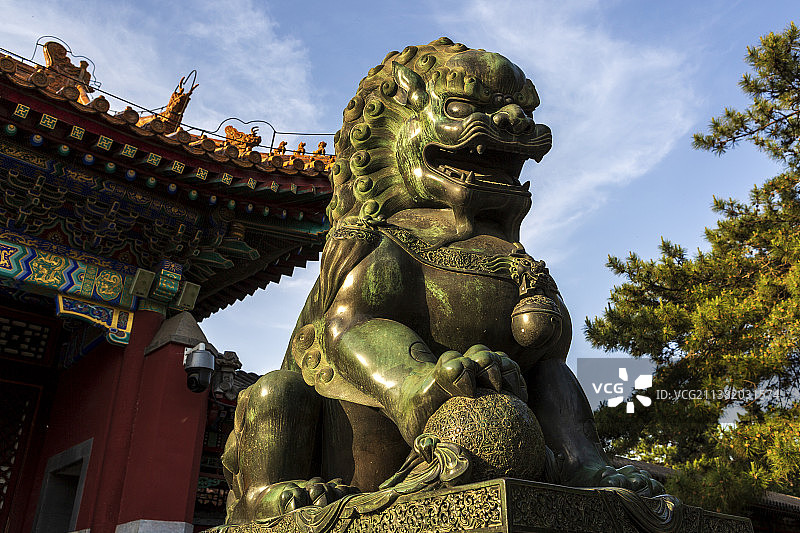 北京颐和园内的铜狮子图片素材