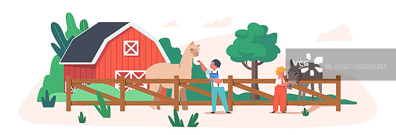 开心的孩子们喂养羊驼和驴图片素材