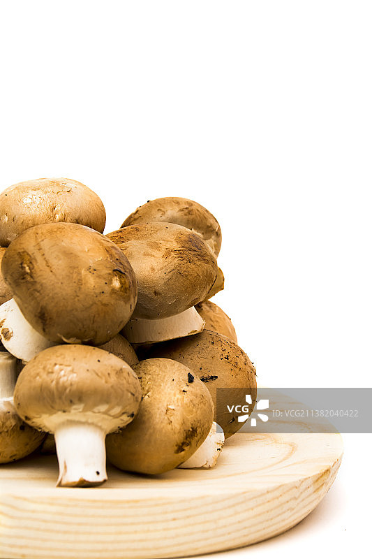 白色背景下的蘑菇特写图片素材