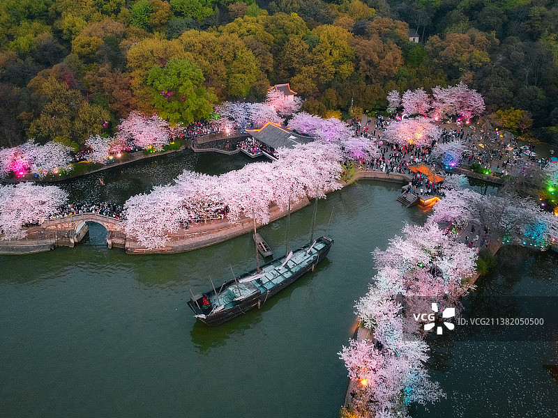 无锡鼋头渚 长春桥夜樱图片素材
