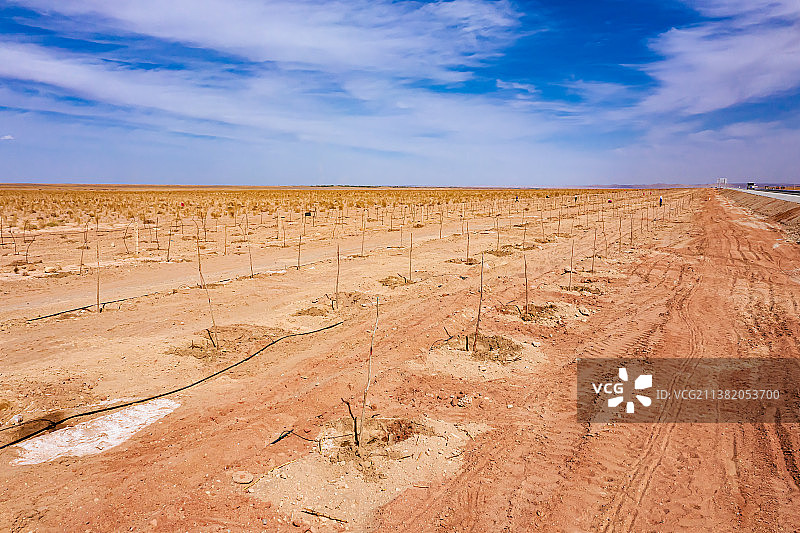 戈壁植树造林施工现场图片素材