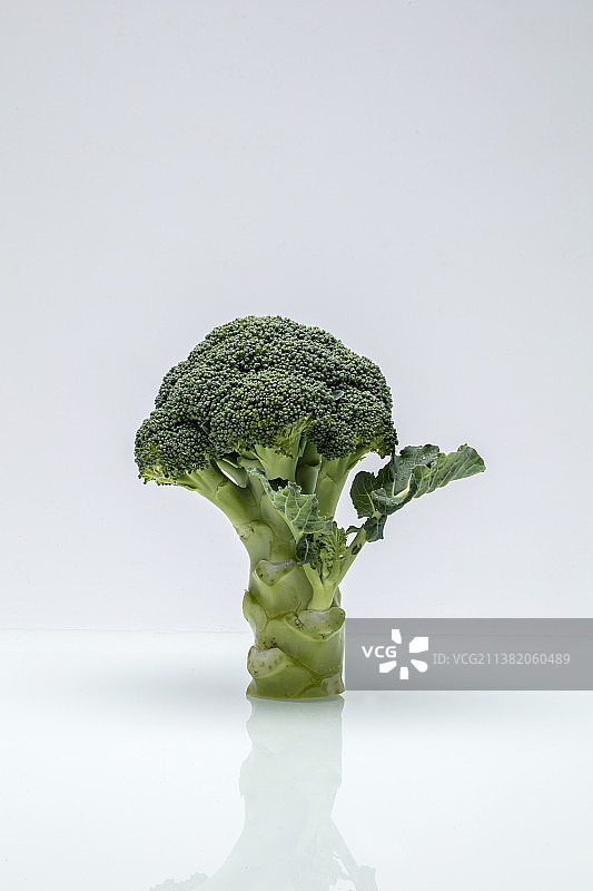 西蓝花静物图片素材