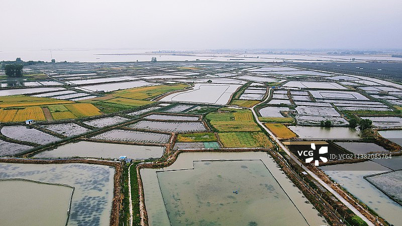 航拍水稻梯田和小路图片素材