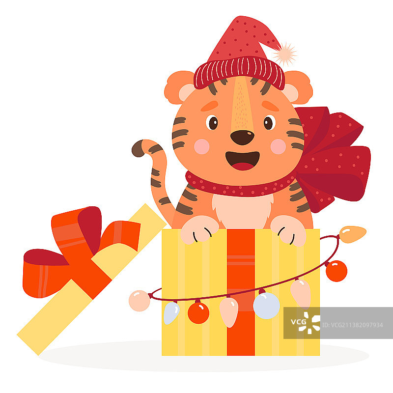 圣诞节戴圣诞帽的可爱老虎在礼品盒里图片素材