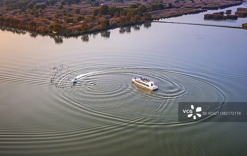观雁就到大纵湖图片素材