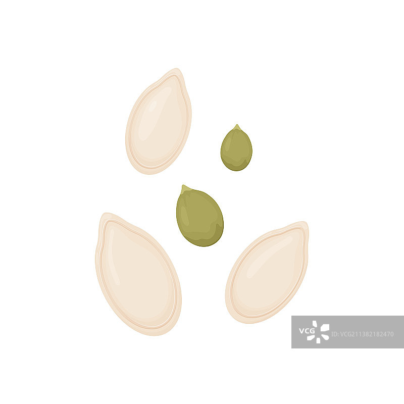 白色背景上的南瓜籽蔬菜种子图片素材