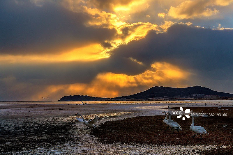 日出时分图片素材