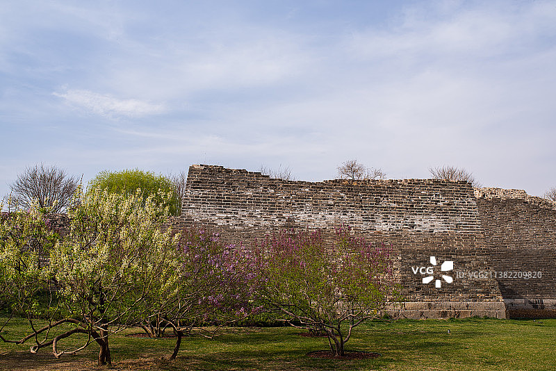 古城墙下遇花开图片素材