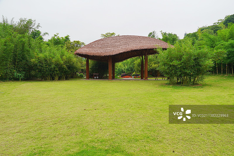 广西南宁青秀山：竹园风光图片素材