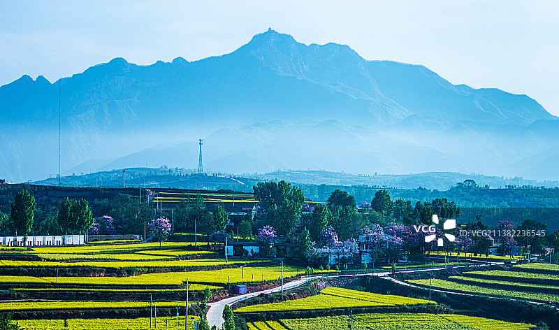 河南省济源市蔬菜种子基地图片素材