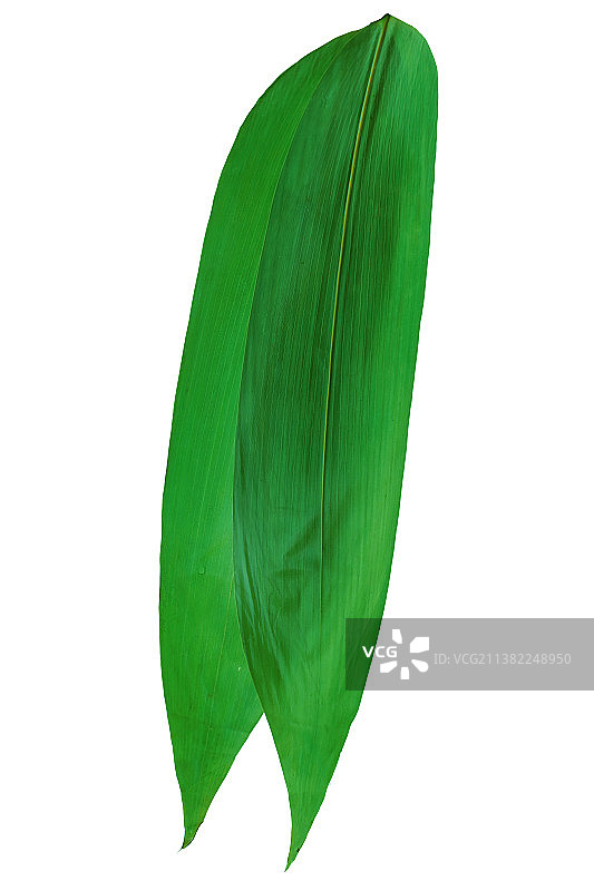 端午将至 粽子图片素材