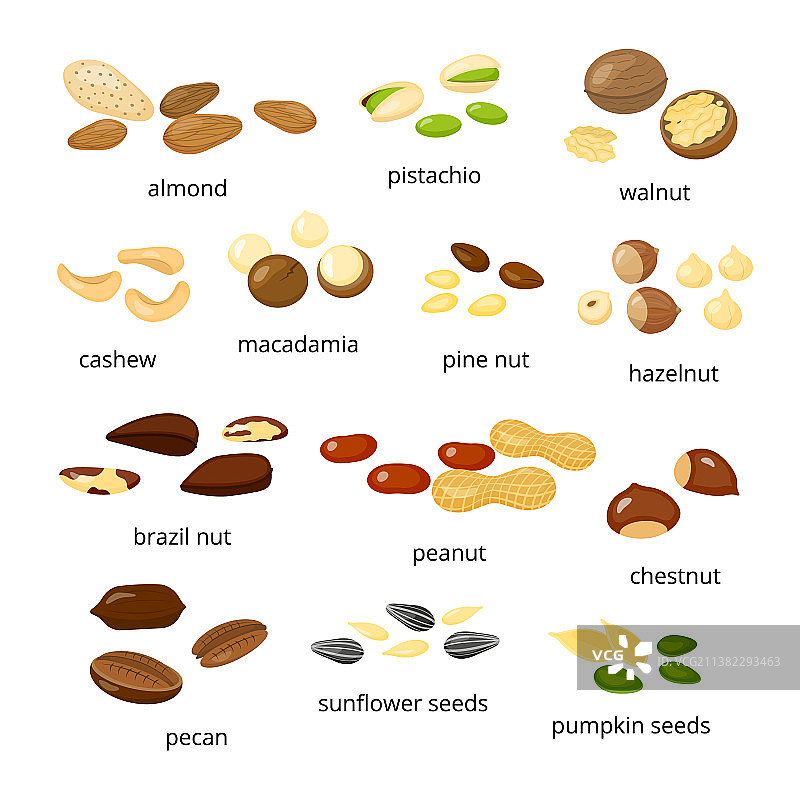 卡通坚果素材合集图片素材