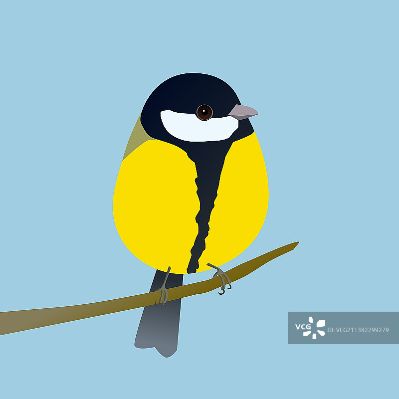 可爱的彩蛋形状大山雀鸟图片素材