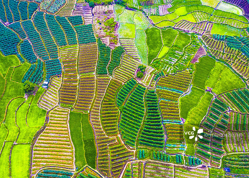 田园风光航拍泉州农业生产稻田农作物梯田耕作风景美图图片素材