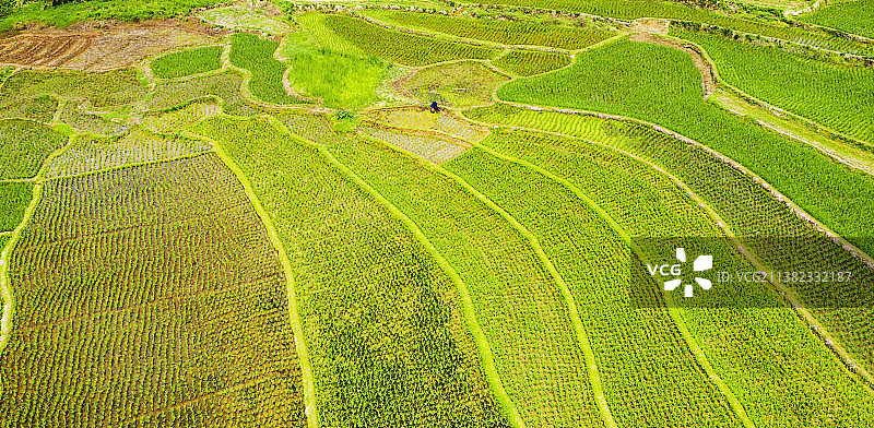 田园风光航拍泉州农业生产稻田农作物梯田耕作风景美图图片素材