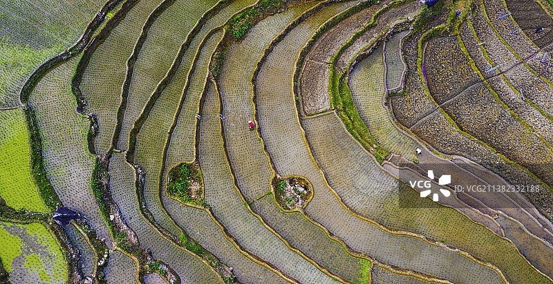 田园风光航拍泉州农业生产稻田农作物梯田耕作风景美图图片素材