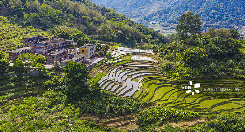 田园风光航拍泉州农业生产稻田农作物梯田耕作风景美图图片素材