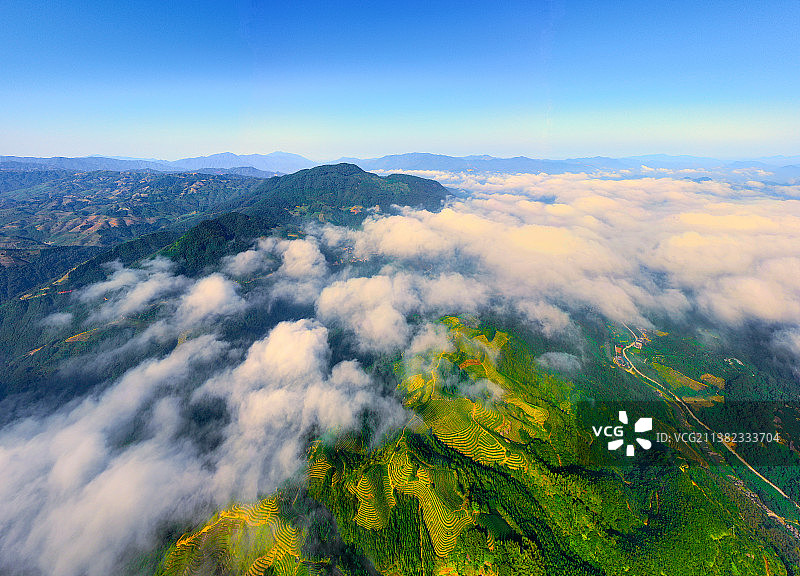 茶叶茶山茶园春茶田园风光美景壁纸图片素材