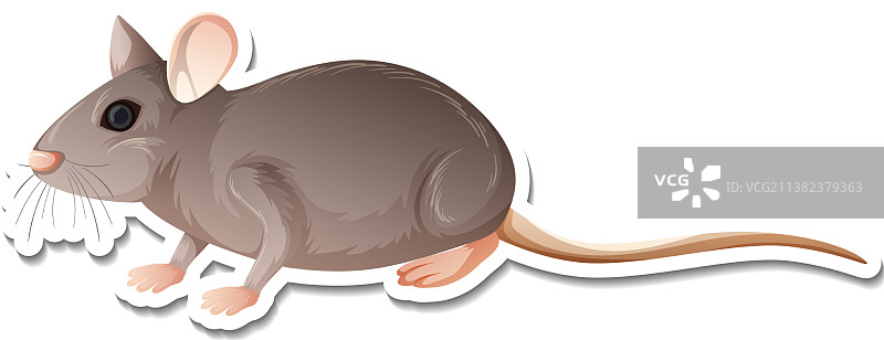 卡通老鼠贴纸模板图片素材